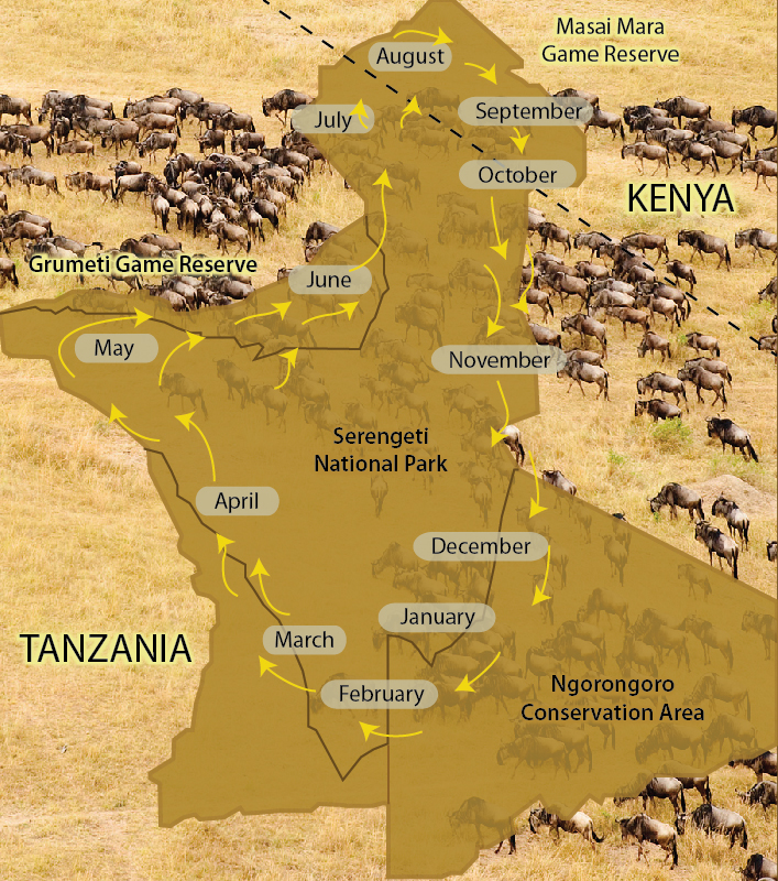 Serengeti Landkarte mit Tierwanderung