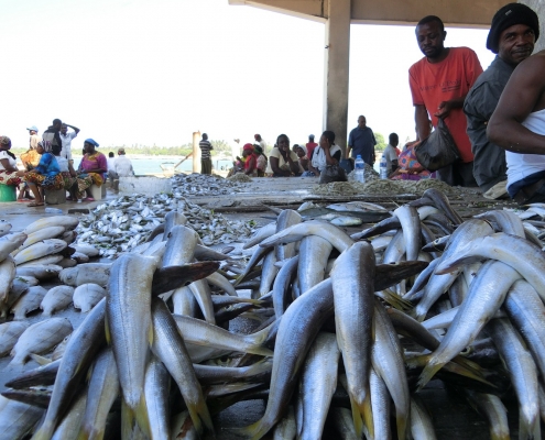 Fischmarkt Sansibar