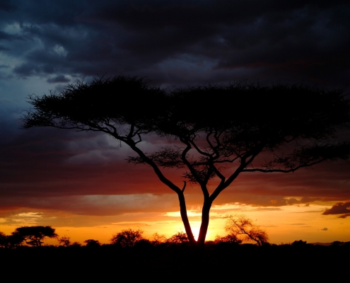 Sonnenuntergang Serengeti Tansania