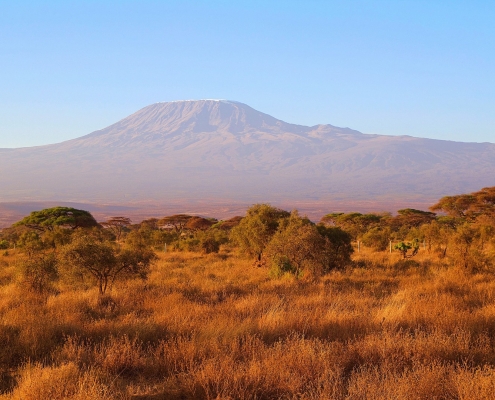 Savanne mit Kilimandscharo im Hintergrund