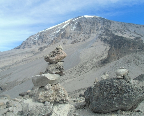 Kilimandscharo Alpine Zone