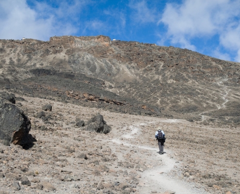 Kilimandscharo Wanderweg alpine Zone