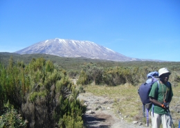 Heide und Moorland Kilimanjaro Lemosho