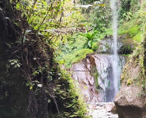 Nach einer wunderschönen Wanderung entlang der Schlucht öffnet sich der Weg und Sie werden mit einem spektakulären Blick auf die Arusha Wasserfälle begrüßt