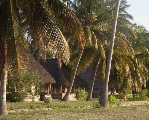 Emayani Beach Lodge mit Palmen