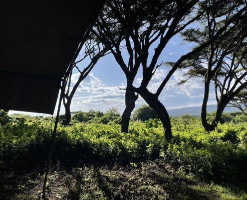 Aussicht aus dem Zelt, Lemala Ngorongoro