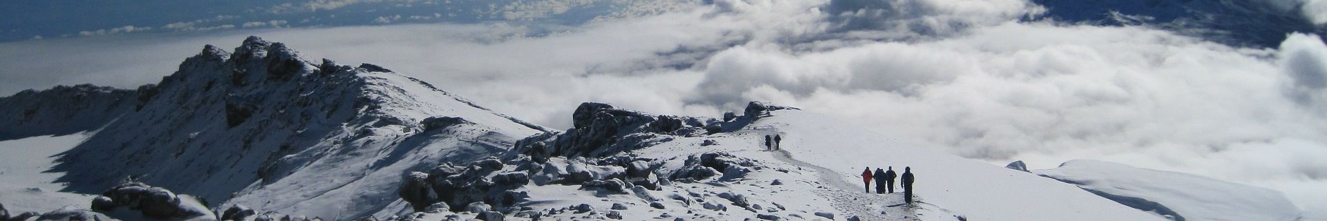 Kilimandscharo Tour alpine Zone