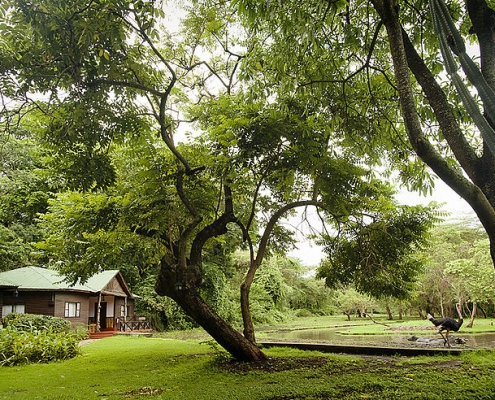 Mount Meru Game Lodge Garten